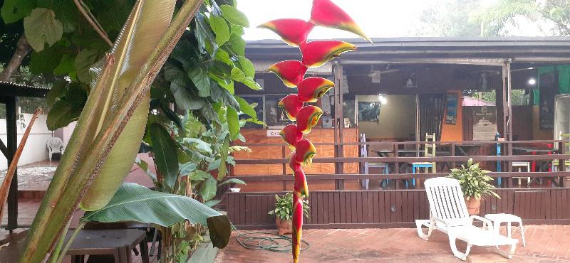 Residencial Noelia Hostel Puerto Iguazú Extérieur photo